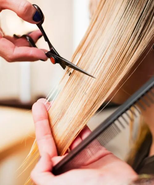 Lanaya Salon & Beauty hair cut
